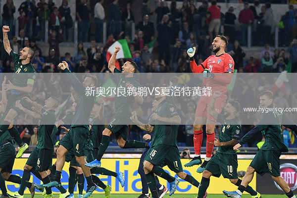 新奧爾良鵜鶘VS夏洛特黃蜂